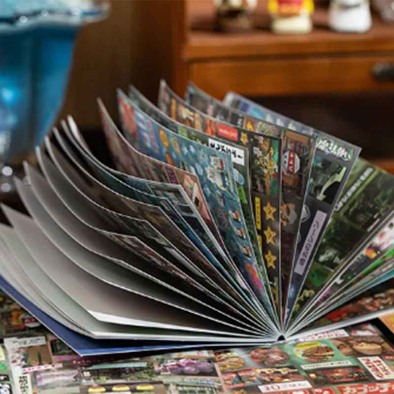 30/60 Vellen Japanse Stijl Vin - Japanese Lifestyle Books recensie en prijs